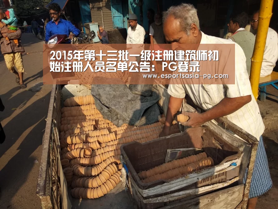 2015年第十三批一级注册建筑师初始注册人员名单公告:PG登录(图3) PG登录