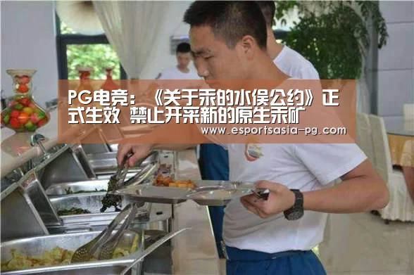 PG电竞:《关于汞的水俣公约》正式生效 禁止开采新的原生汞矿(图3) PG在线